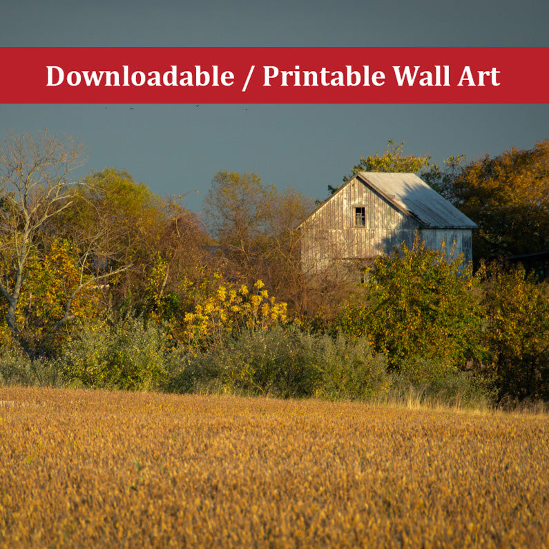 Printable Dining Room Art: Abandoned Barn In The Trees Landscape Photo DIY Wall Decor Instant Download Print - Printable - PIPAFINEART