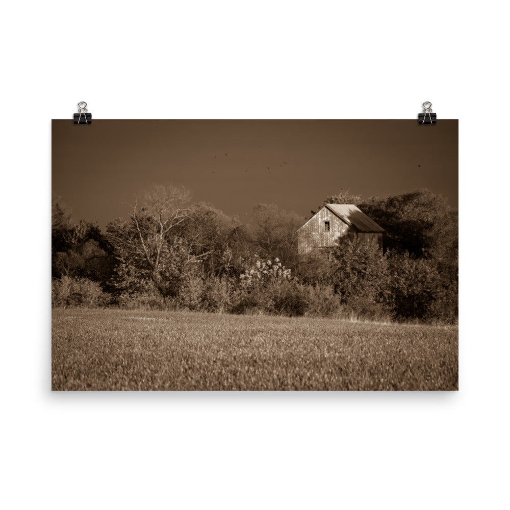 Rustic Bathroom Prints: Abandoned Barn In The Trees Sepia Landscape Photo Loose Wall Art - PIPAFINEART