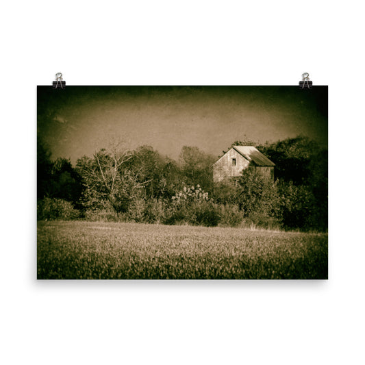 Rustic Contemporary Wall Decor: Abandoned Barn In The Trees Vintage Loose Wall Art Prints - PIPAFINEART