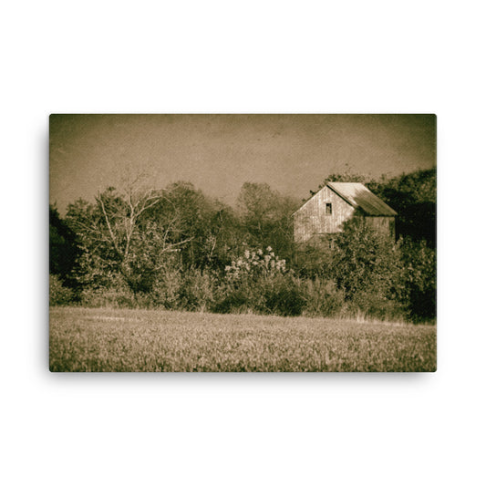Canvas Rustic Wall Art: Abandoned Barn In The Trees Vintage - Rural / Farmhouse / Country Style / Landscape / Nature Canvas Wall Art Print - Artwork