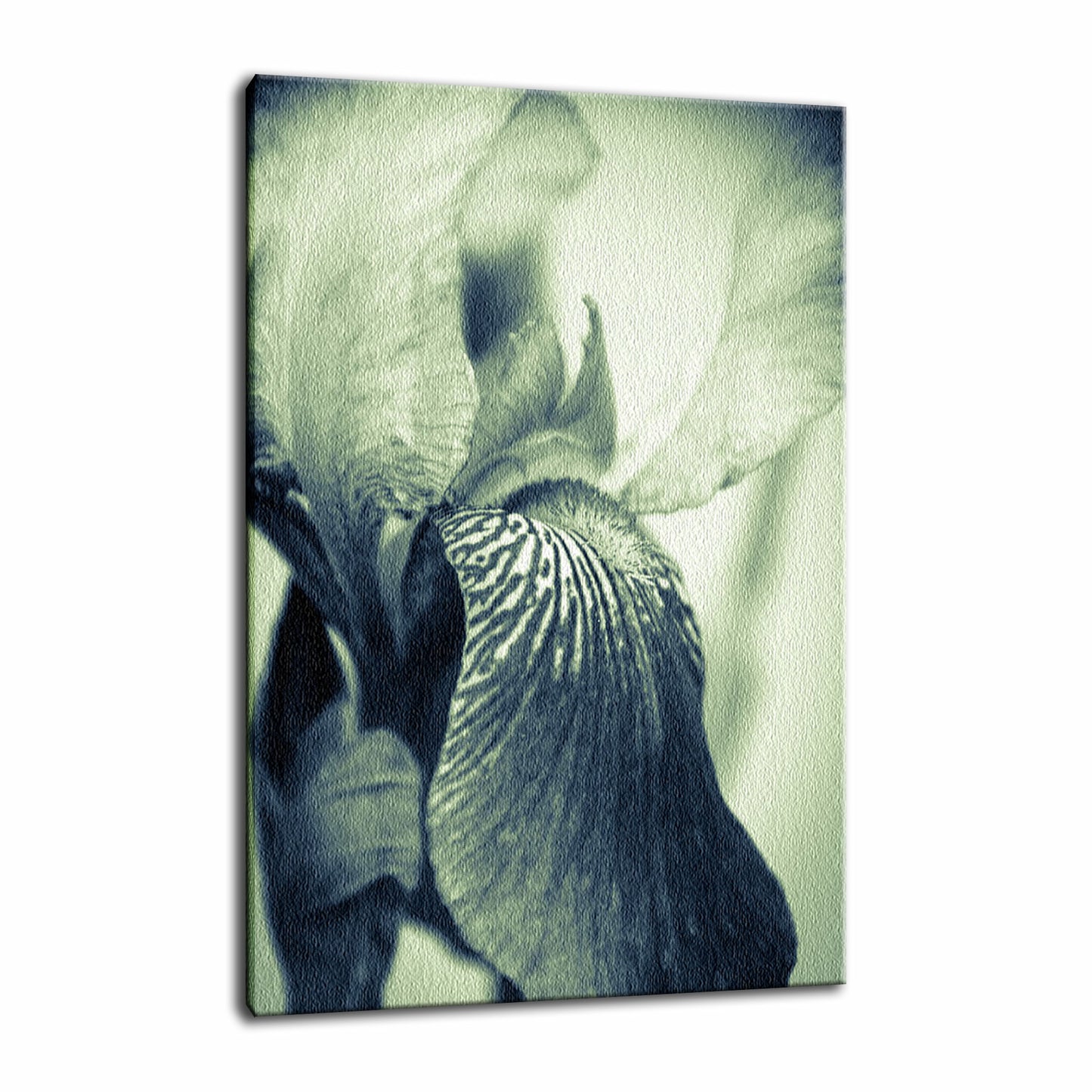 Rustic Canvas Wall Art: Abstract Japanese Iris Delight Nature / Floral Photo Fine Art Canvas Wall Art Prints - PIPAFINEART