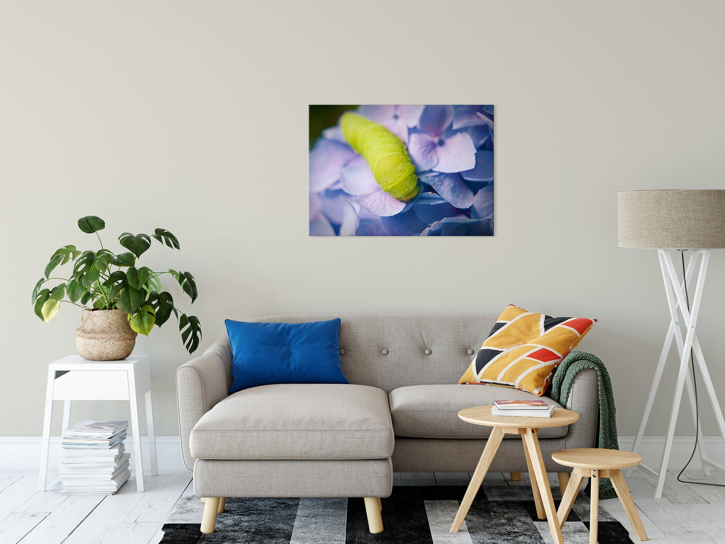 Boho Botanical Wall Art: Actias Luna Larvae on Hydrangea Nature / Floral Photo Fine Art Canvas Wall Art Prints 24" x 36" - PIPAFINEART