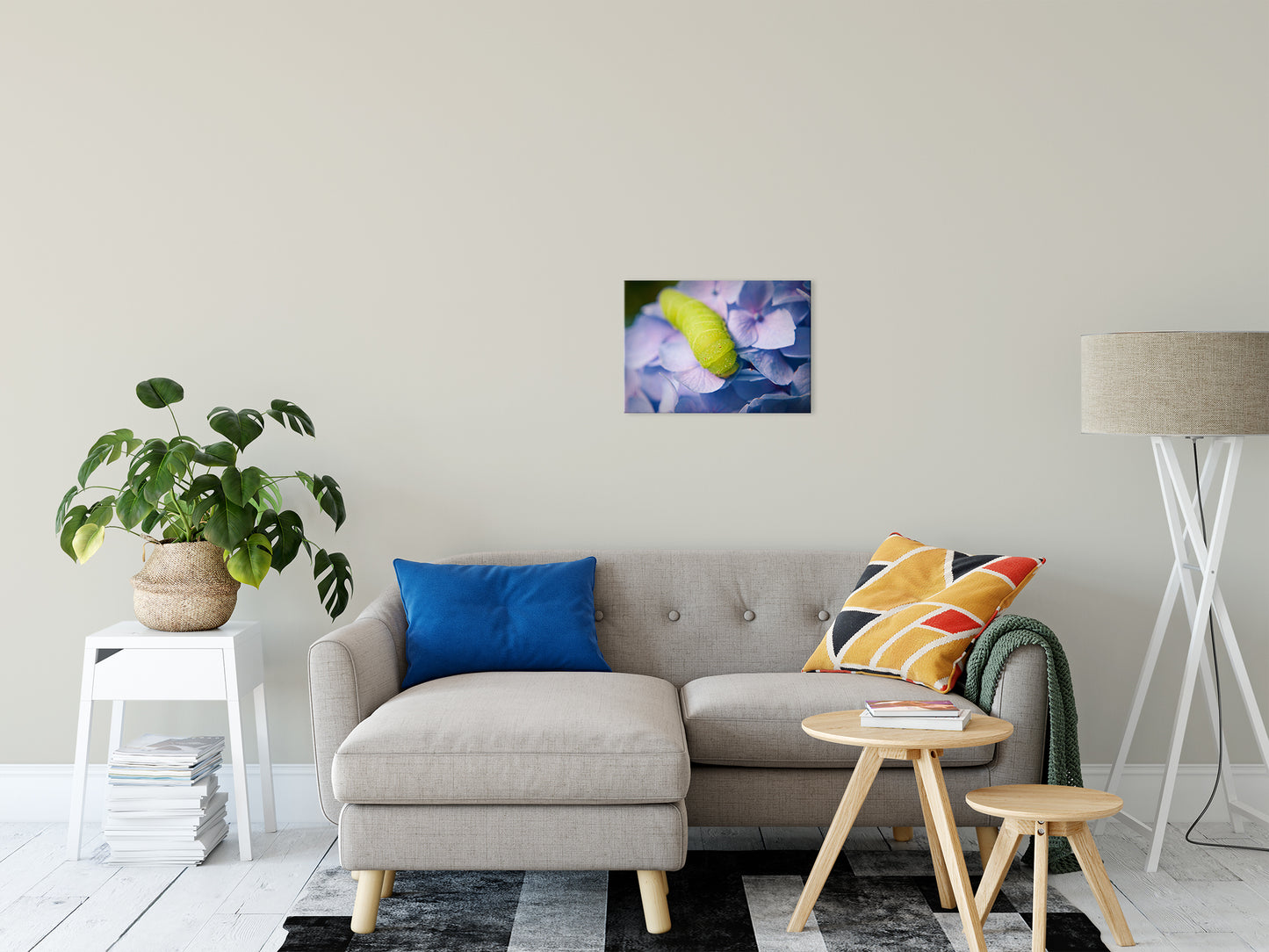 Canvas Botanical Wall Art: Actias Luna Larvae on Hydrangea Nature / Floral Photo Fine Art Canvas Wall Art Prints 16" x 20" - PIPAFINEART