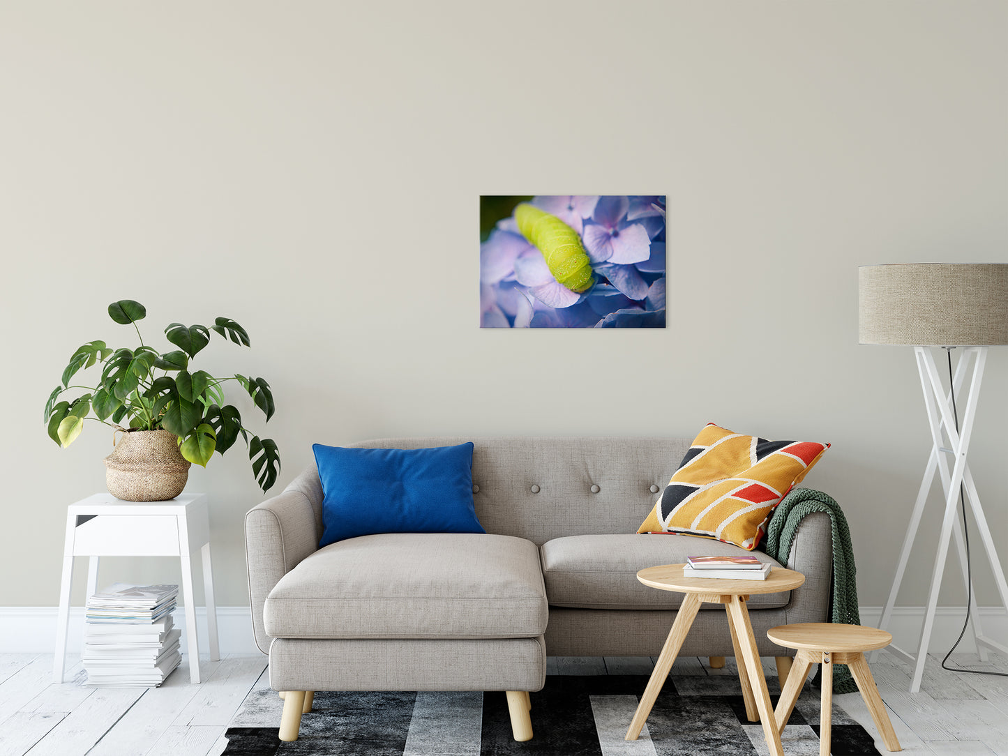 Botanical Canvas Art: Actias Luna Larvae on Hydrangea Nature / Floral Photo Fine Art Canvas Wall Art Prints 20" x 24" - PIPAFINEART