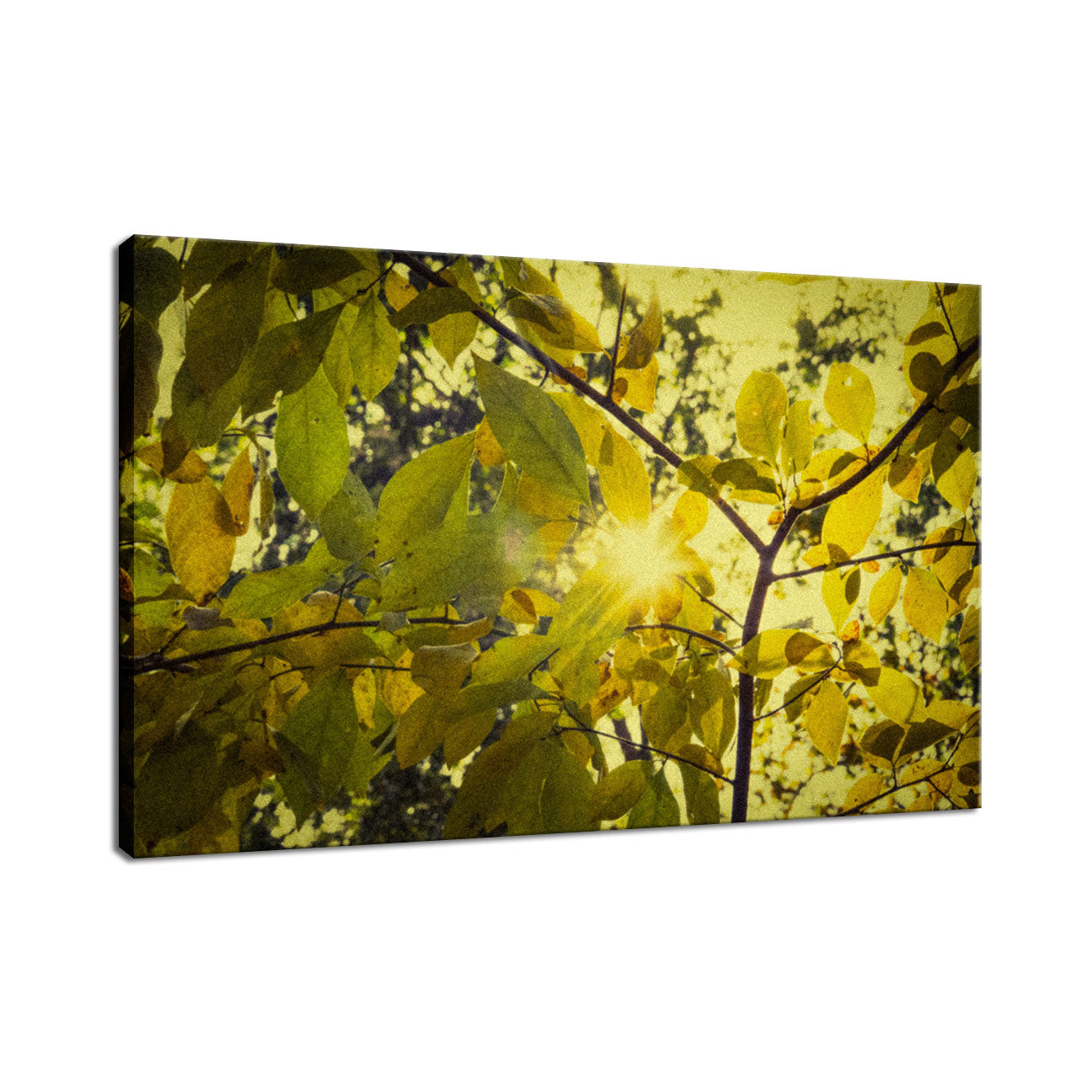 Leaf Print On Canvas: Aged Golden Leaves Botanical / Nature Photo Fine Art Canvas Wall Art Prints - PIPAFINEART
