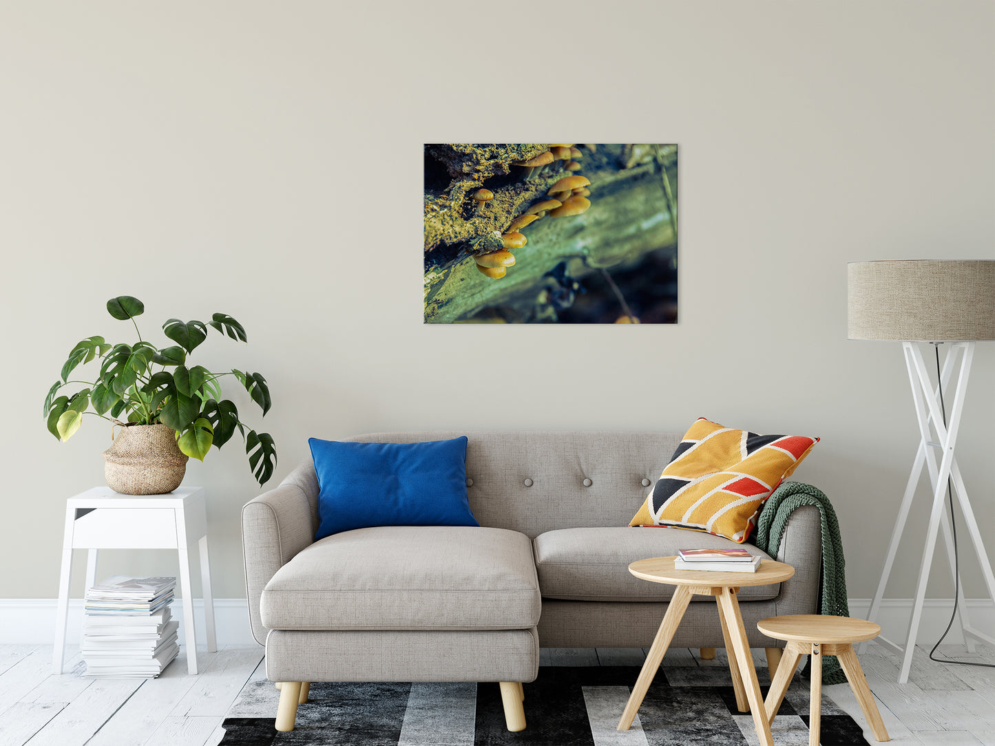 Canvas Art Plants: Aged Mushroom Botanical / Nature Photo Fine Art Canvas Wall Art Prints 24" x 36" - PIPAFINEART
