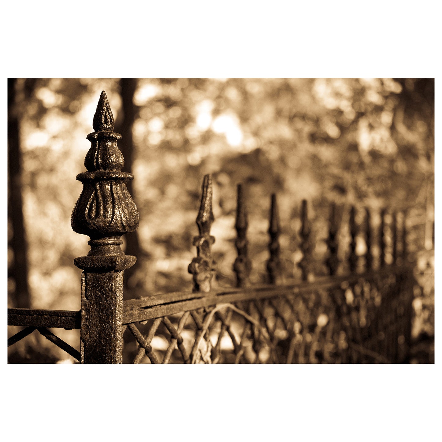 Sepia Antique Fence Abstract Photo Fine Art Canvas & Unframed Wall Art Prints - PIPAFINEART