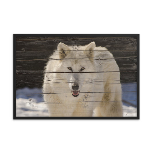 Minimalist Dining Room Wall Art: White Wolf Portrait on Faux Weathered Wood Texture -  Animal / Wildlife / Nature Photographic Framed Artwork - Wall Decor