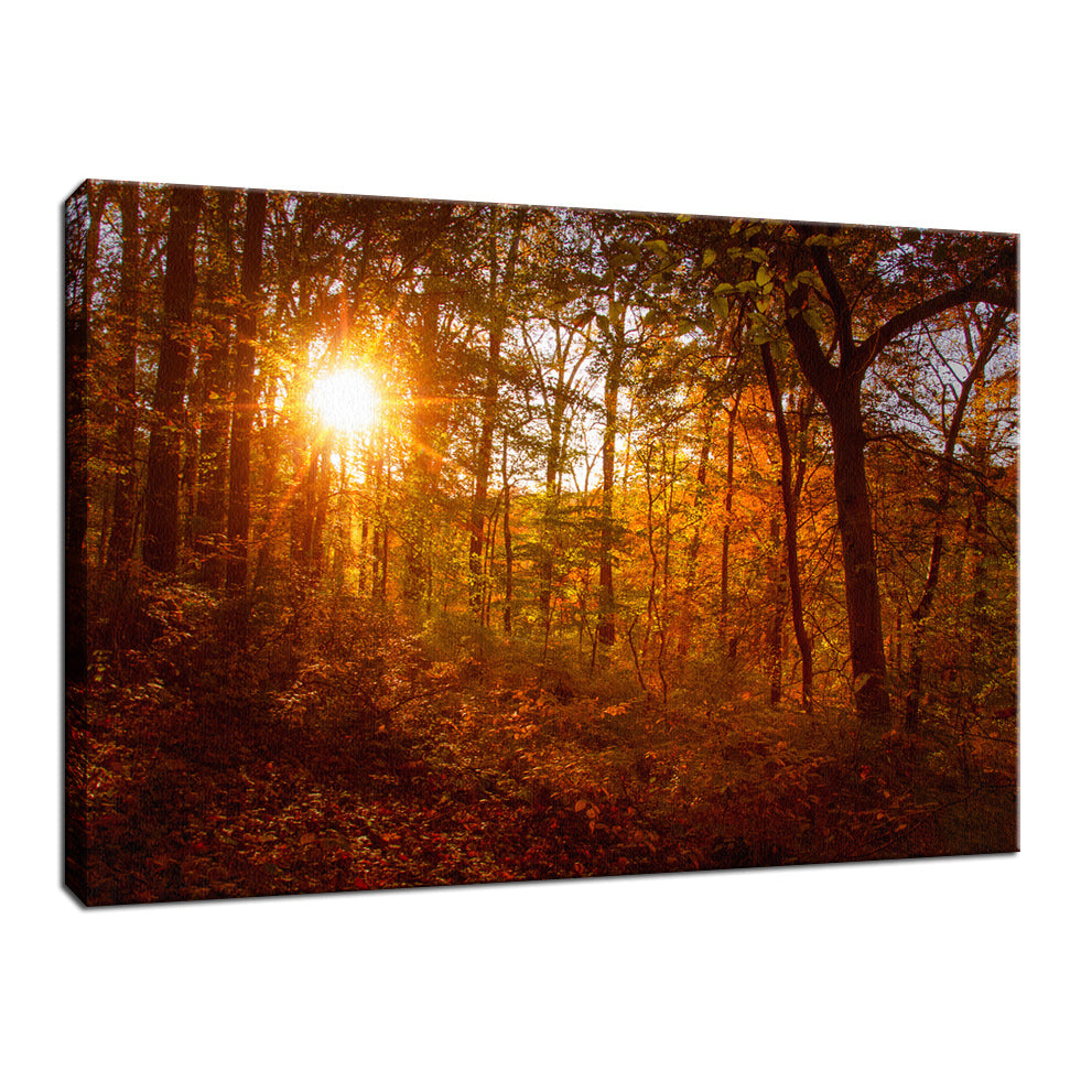 Hobby Lobby Rustic Wall Art: Autumn Sunset in the Trees Landscape Photo Fine Art Canvas Wall Art Prints - PIPAFINEART