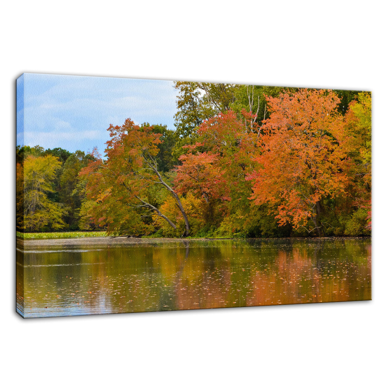 Modern Farmhouse Wall Art For Living Room: Autumn Tree Line Landscape Photo Fine Art Canvas Wall Art Prints - PIPAFINEART