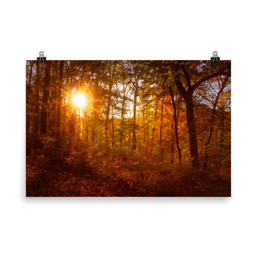 Farmhouse Bedroom Art: Autumn Sunset Landscape Photo Loose Wall Art Prints - PIPAFINEART