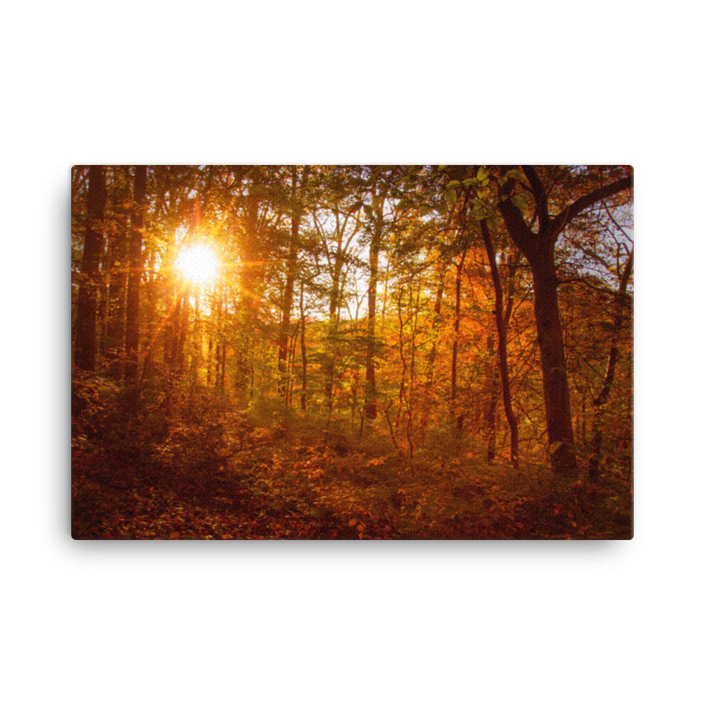 Autumn Sunset Rural Landscape Canvas Wall Art Prints