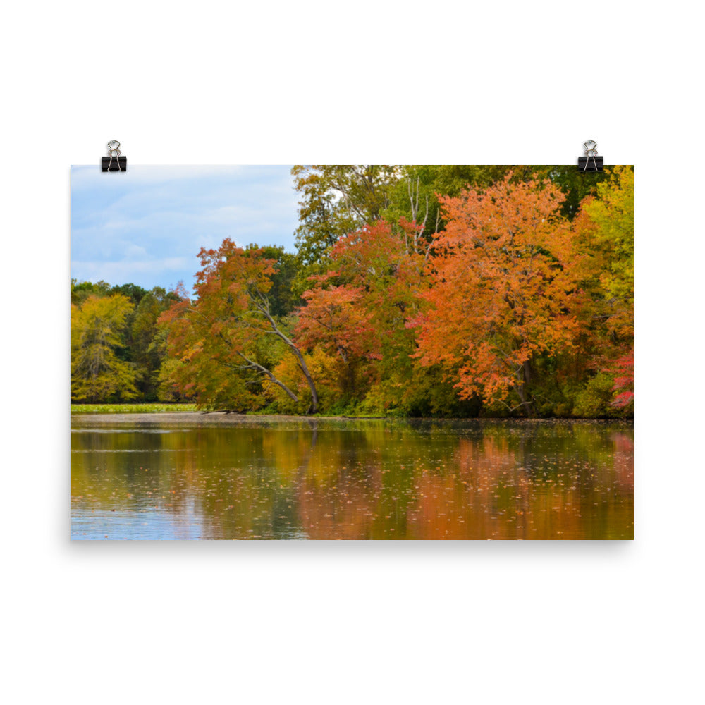 Rustic Cabin Artwork: Autumn Tree Line Landscape Photo Loose Wall Art Prints - PIPAFINEART
