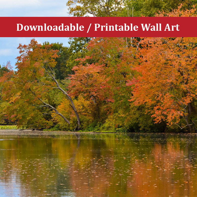 Rustic Dining Room Wall Art: Autumn Tree Line Landscape Photo DIY Wall Decor Instant Download Print - Printable - PIPAFINEART