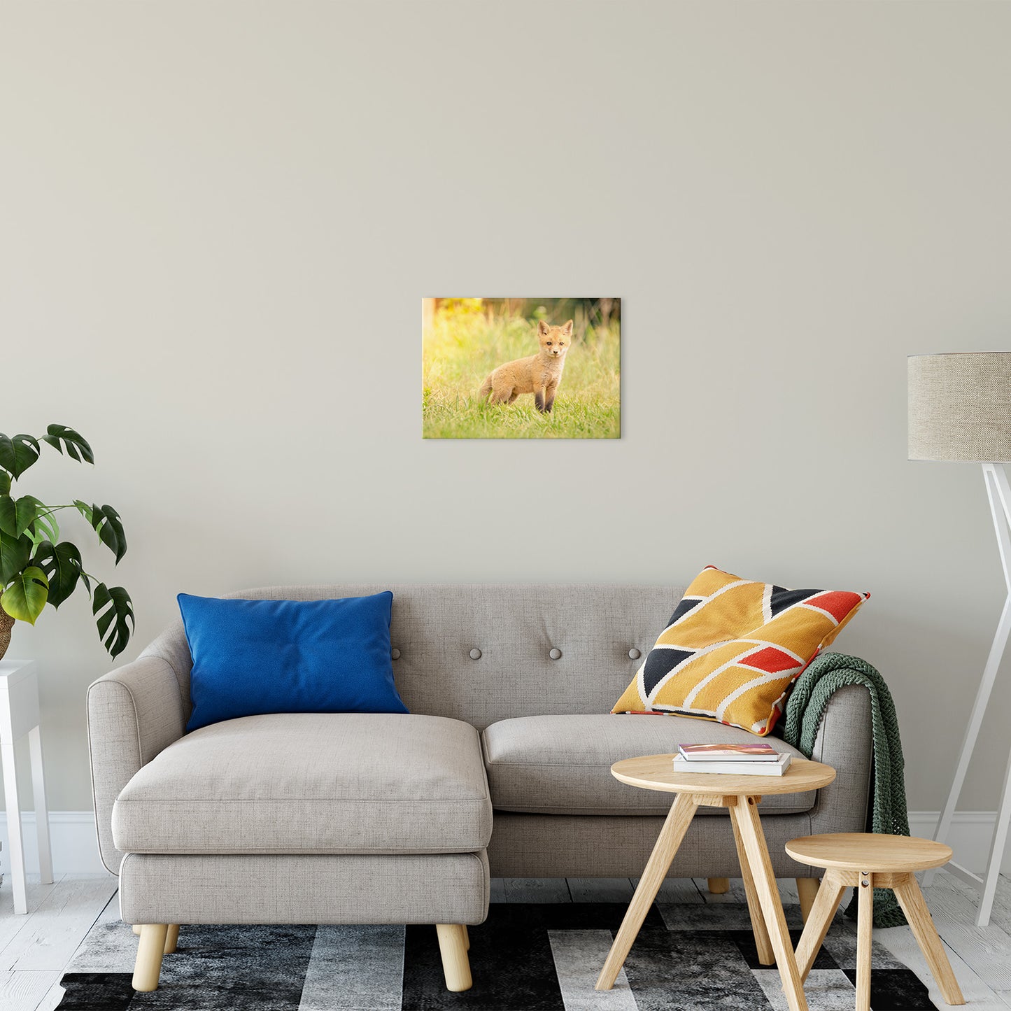 Baby Red Fox in the Sun Animal / Wildlife Photograph Fine Art Canvas & Unframed Wall Art Prints 16" x 20" / Canvas Fine Art - PIPAFINEART