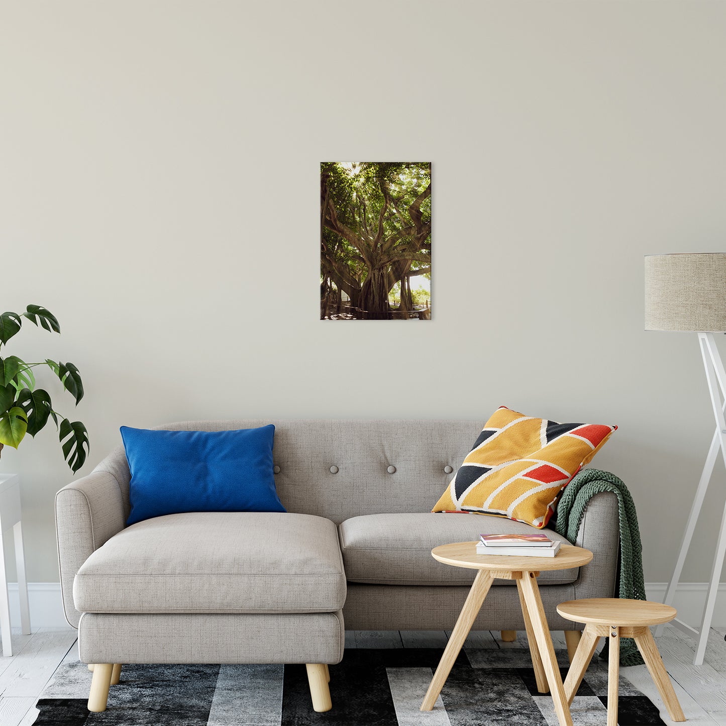 Botanical Wall: Banyan Tree With Glory Rays of Sunlight Botanical Photo Fine Art Canvas Wall Art Prints 16" x 20" / Fine Art Canvas - PIPAFINEART