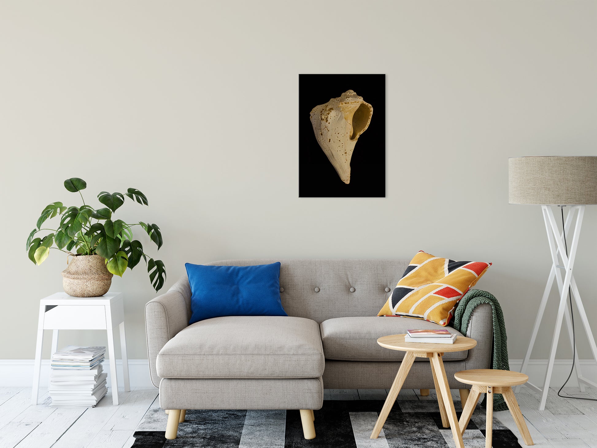 States of Erosion Image 1 Whelk Shell Coastal Nature Photo Fine Art Canvas Wall Art Prints 20" x 30" - PIPAFINEART