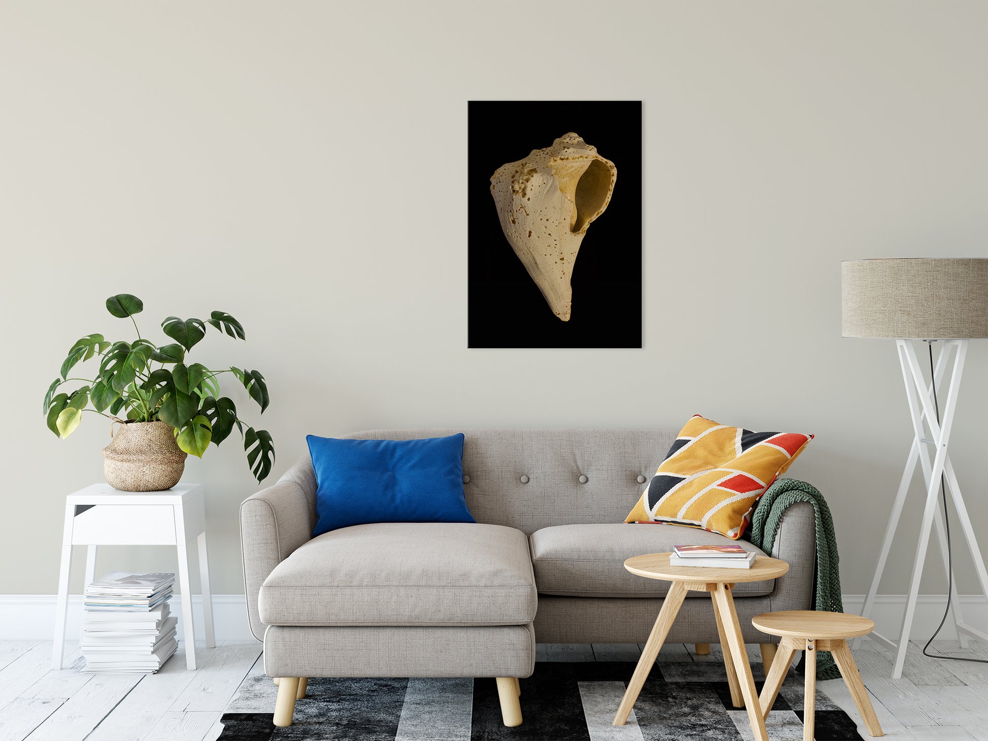 States of Erosion Image 1 Whelk Shell Coastal Nature Photo Fine Art Canvas Wall Art Prints 24" x 36" - PIPAFINEART