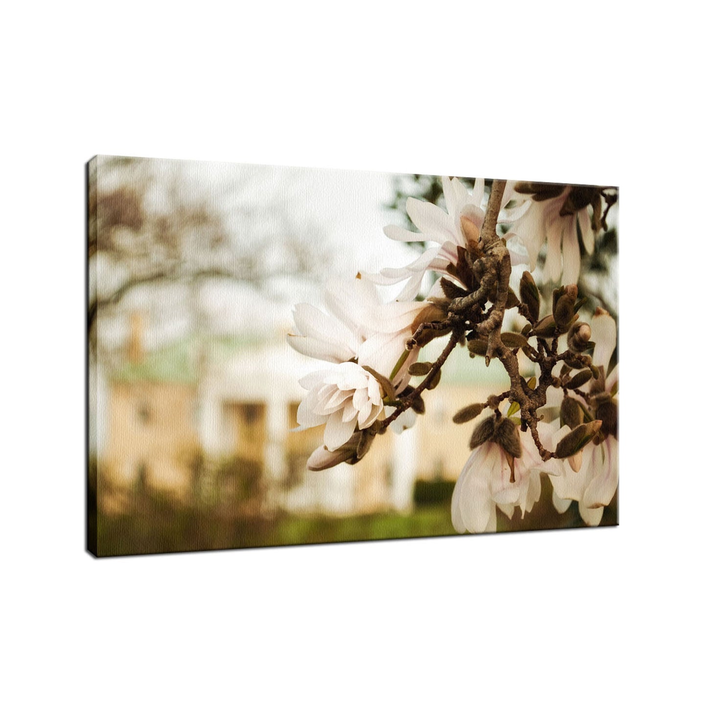 Bellevue Mansion Nature / Floral Photo Fine Art Canvas Wall Art Prints - PIPAFINEART
