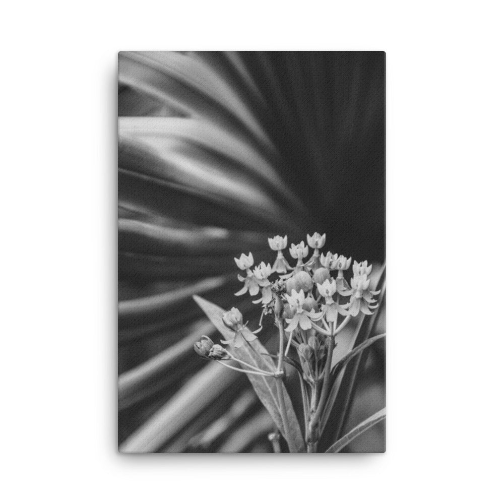 Bloodflowers and Palm Black and White Floral Botanical Nature Photograph Canvas Wall Art Prints