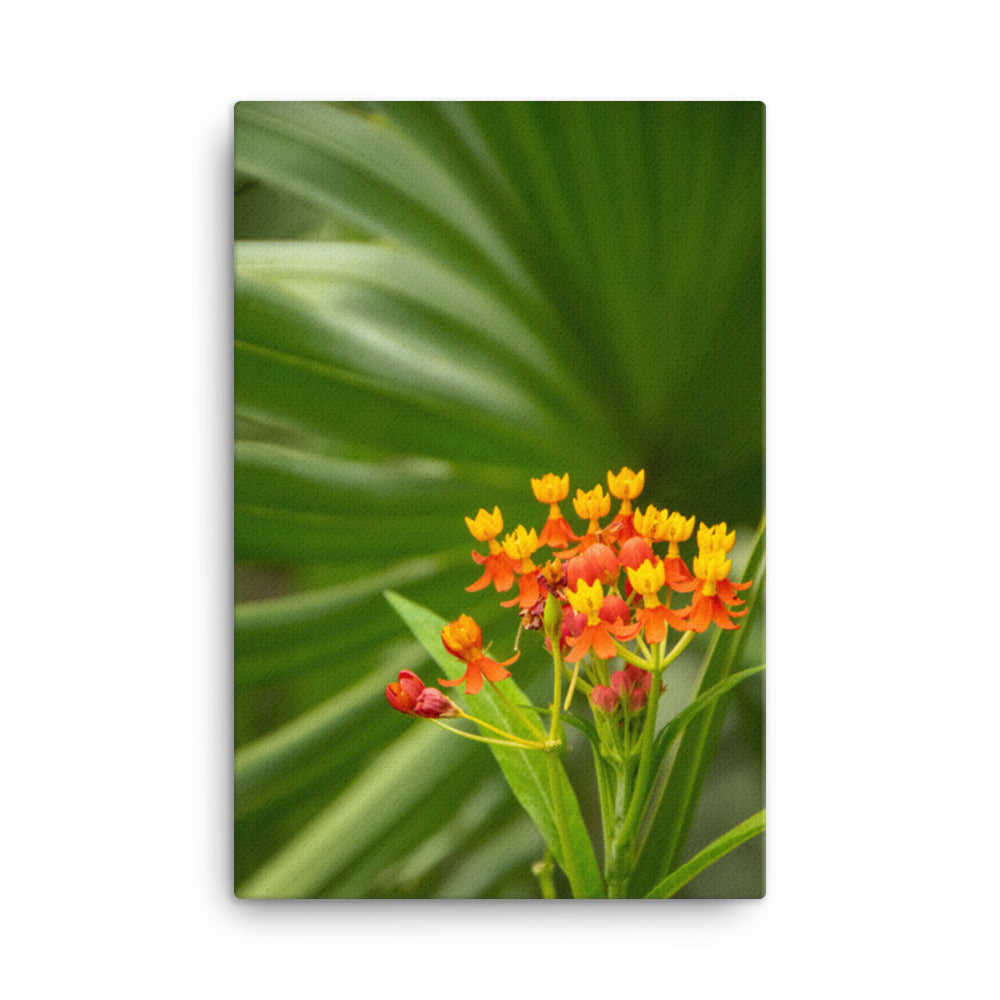 Bloodflowers and Palm Color Floral Botanical Nature Photograph Canvas Wall Art Prints