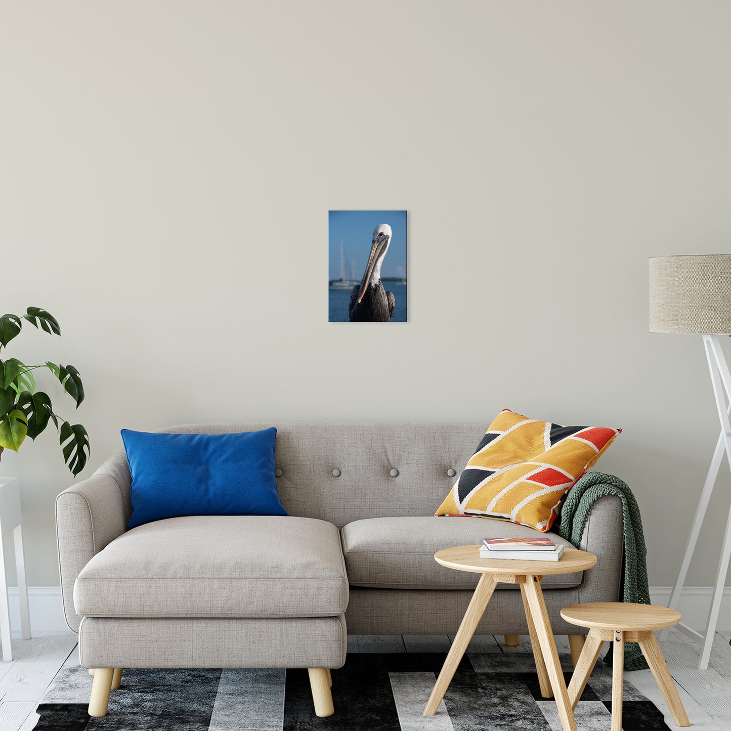 Bob The Pelican 3 Color Wildlife Photograph Fine Art Canvas & Unframed Wall Art Prints 11" x 14" / Canvas Fine Art - PIPAFINEART
