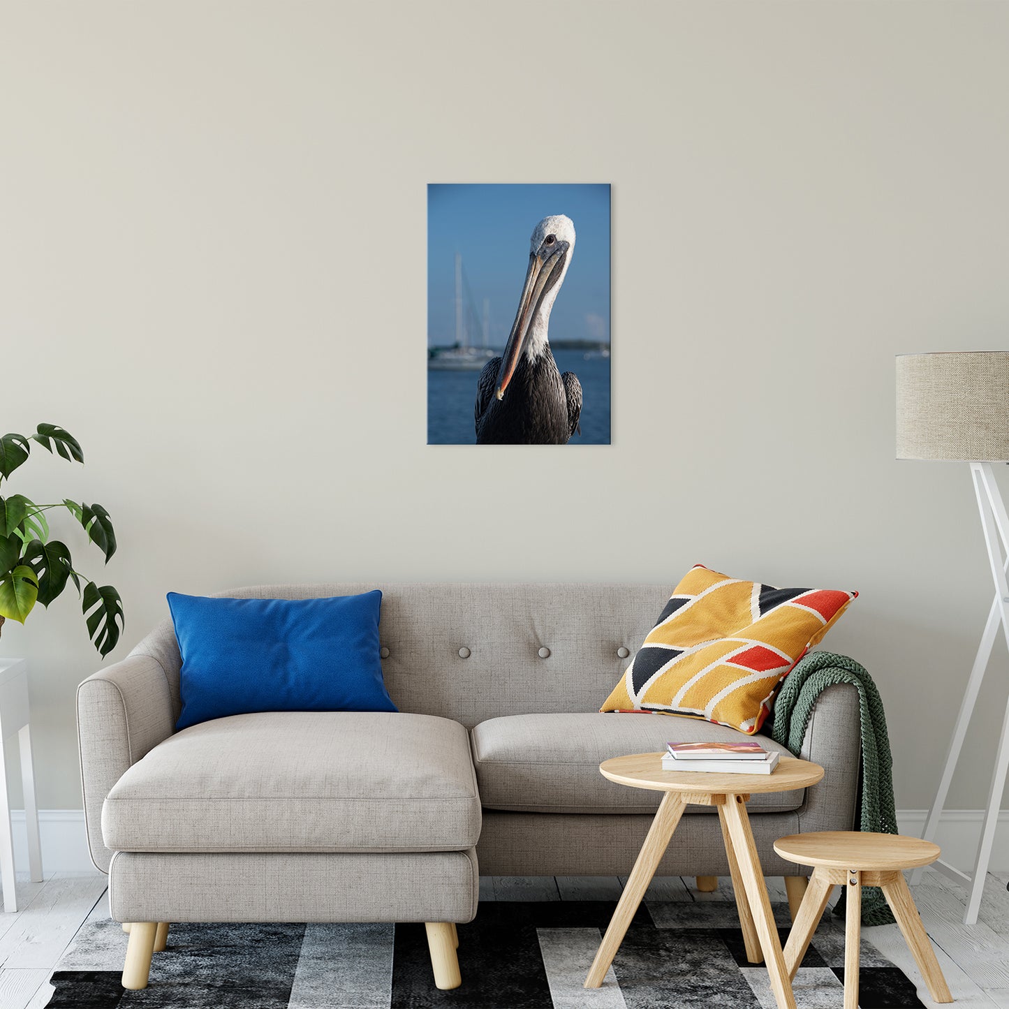 Bob The Pelican 3 Color Wildlife Photograph Fine Art Canvas & Unframed Wall Art Prints 20" x 24" / Canvas Fine Art - PIPAFINEART