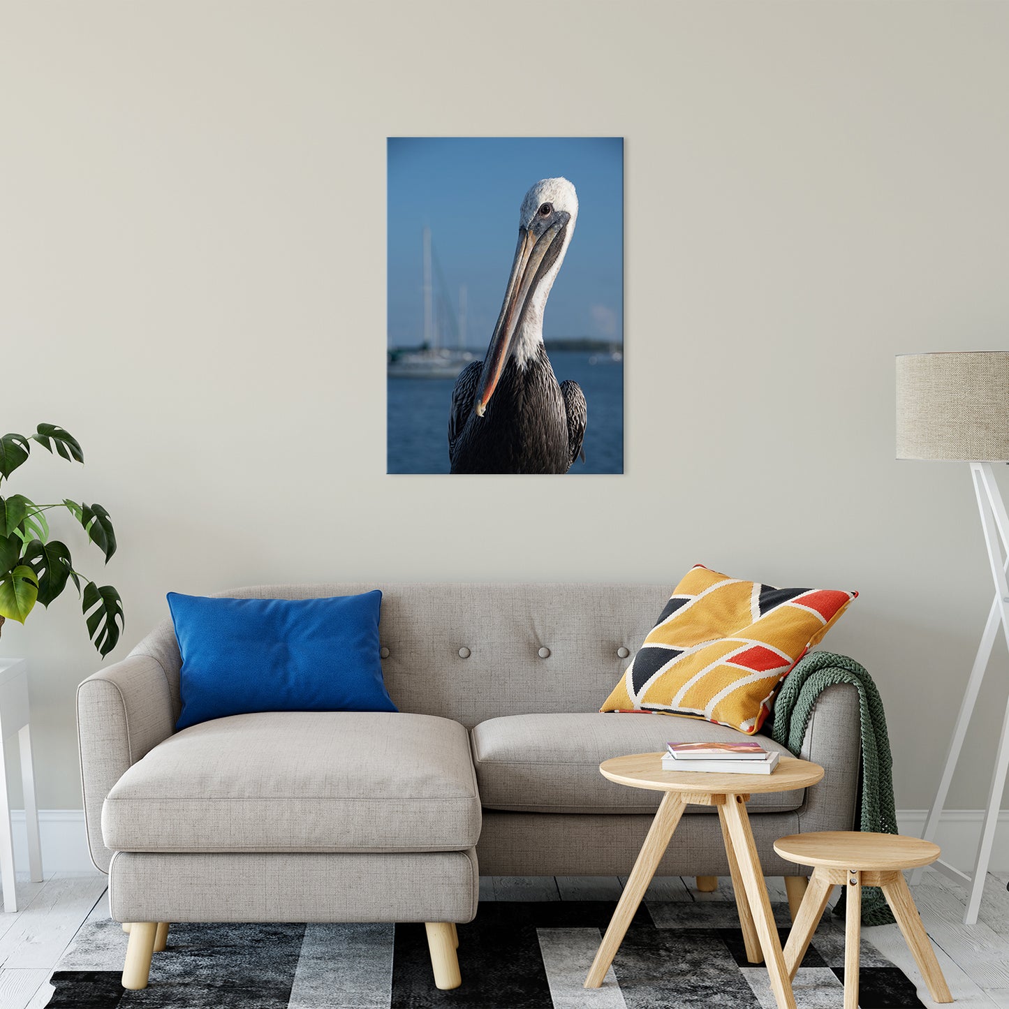 Bob The Pelican 3 Color Wildlife Photograph Fine Art Canvas & Unframed Wall Art Prints 24" x 36" / Canvas Fine Art - PIPAFINEART