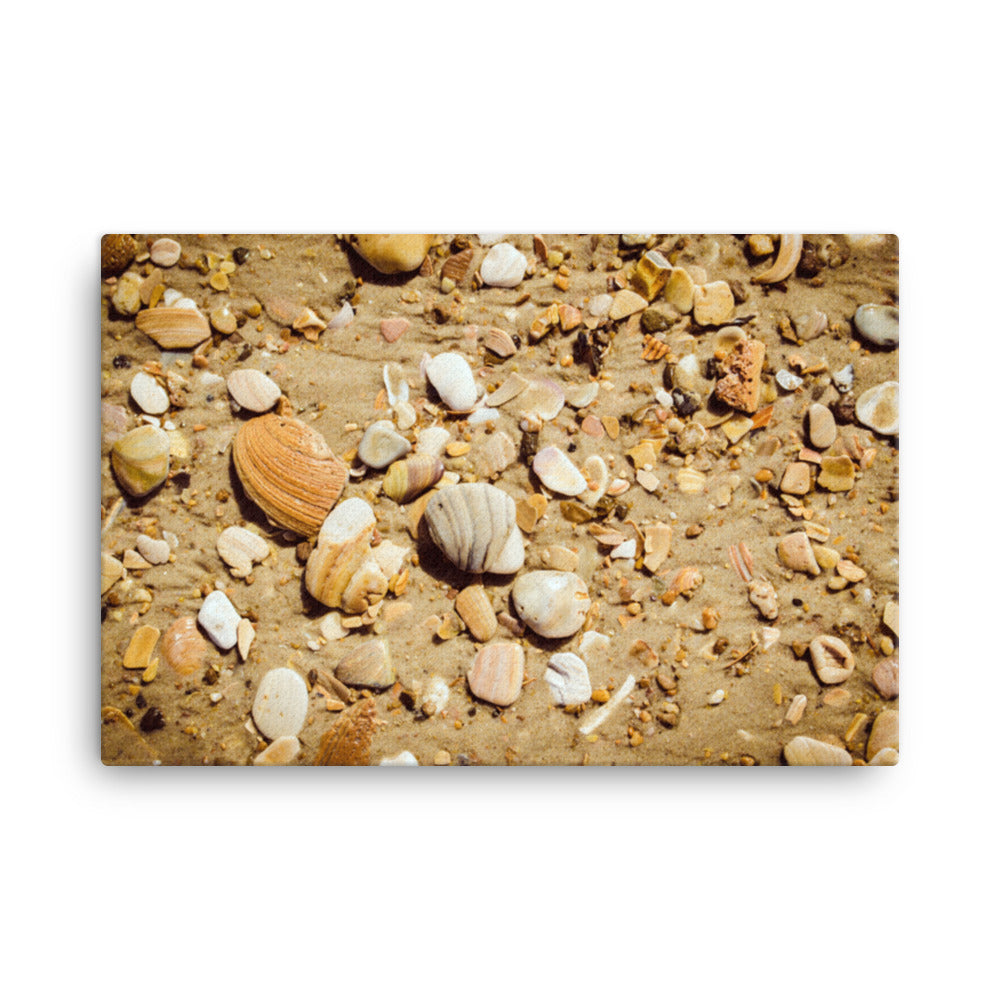 Broken Seashells and Sand Coastal Nature Canvas Wall Art Prints