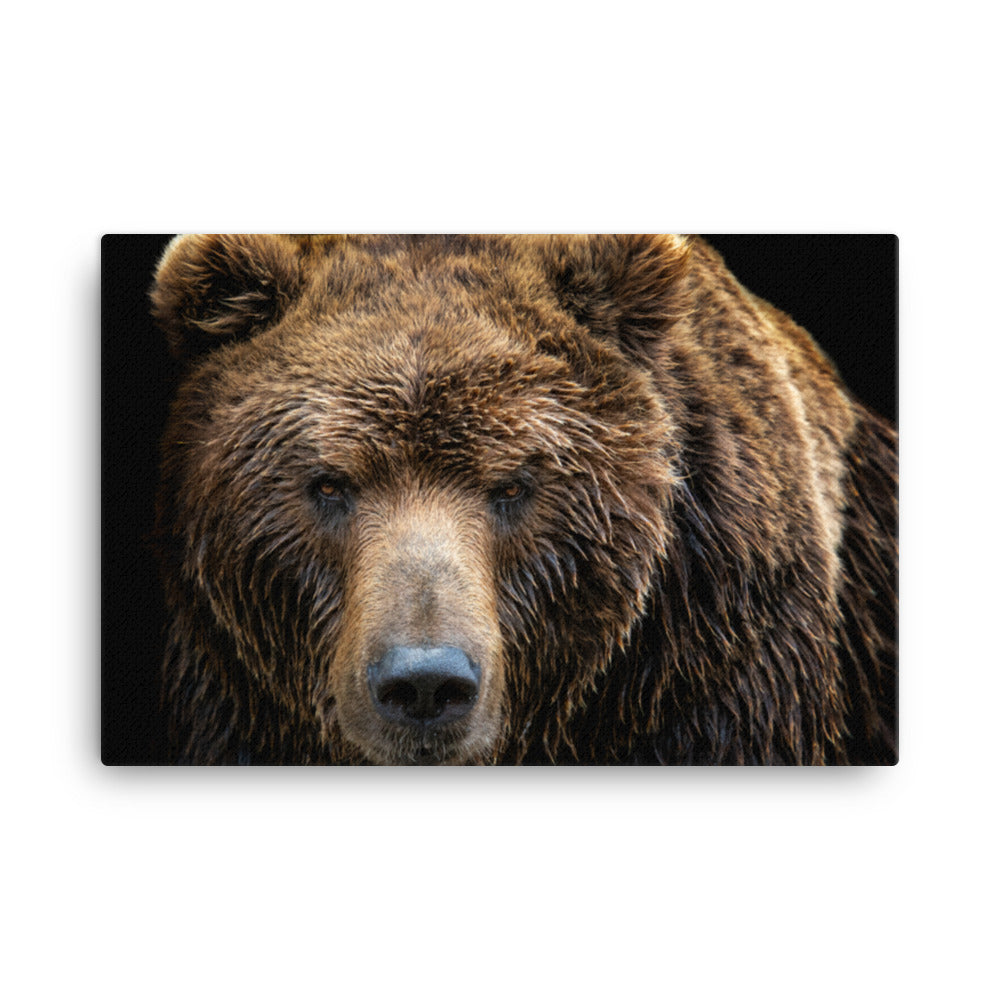 Brown Bear Face Close-up Animal Wildlife Photograph Canvas Wall Art Print