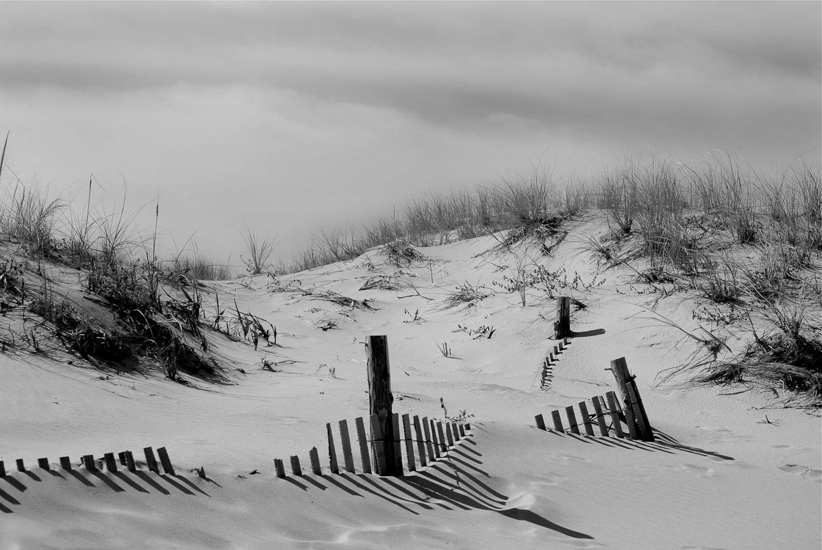 Buried Fences Black & White Landscape Photo Fine Art Canvas Wall Art Prints - PIPAFINEART