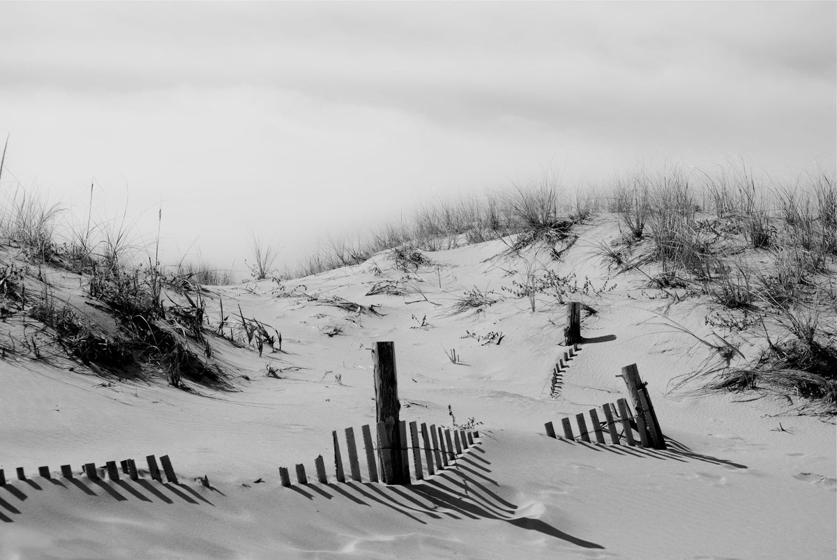 Buried Fences Landscape Photo DIY Wall Decor Instant Download Print - Printable - PIPAFINEART