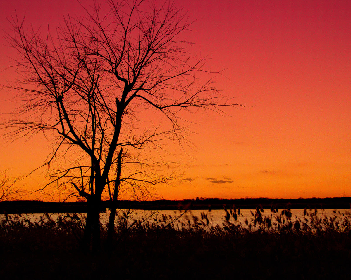 Burning Skies Landscape Photo DIY Wall Decor Instant Download Print - Printable - PIPAFINEART