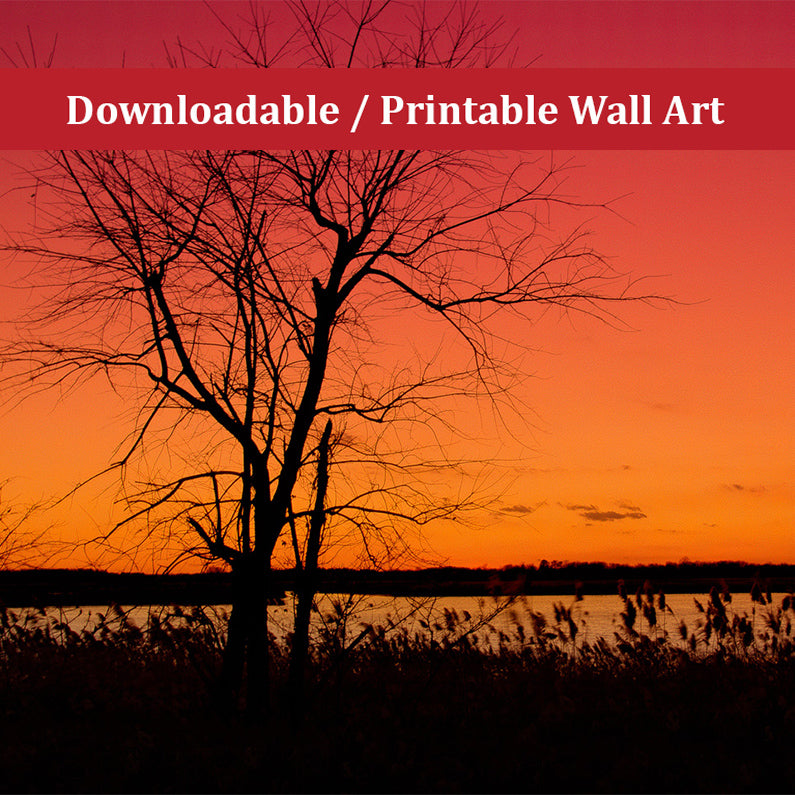 Burning Skies Landscape Photo DIY Wall Decor Instant Download Print - Printable - PIPAFINEART