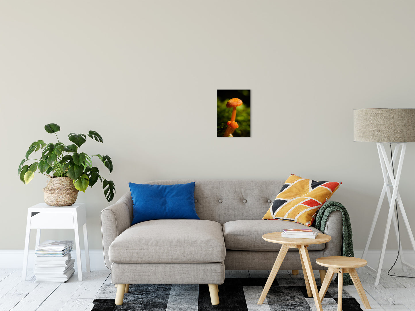 Button Top Mushrooms Nature / Botanical Photo Fine Art Canvas Wall Art Prints 11" x 14" - PIPAFINEART