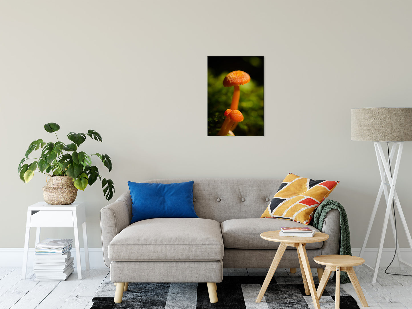 Button Top Mushrooms Nature / Botanical Photo Fine Art Canvas Wall Art Prints 20" x 24" - PIPAFINEART