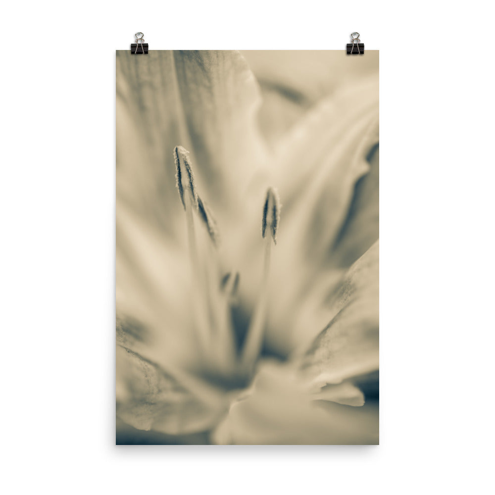 Calm Passions Floral Nature Photo Loose Unframed Wall Art Prints - PIPAFINEART