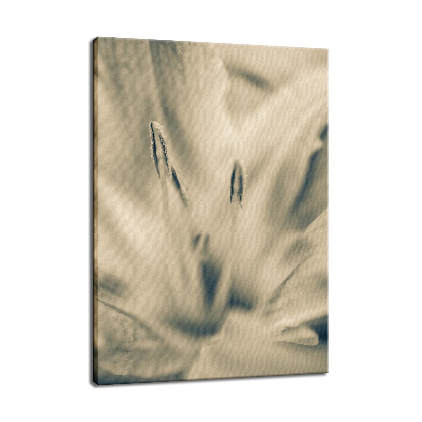Calm Passions - Sepia Nature / Floral Photo Fine Art Canvas Wall Art Prints  - PIPAFINEART