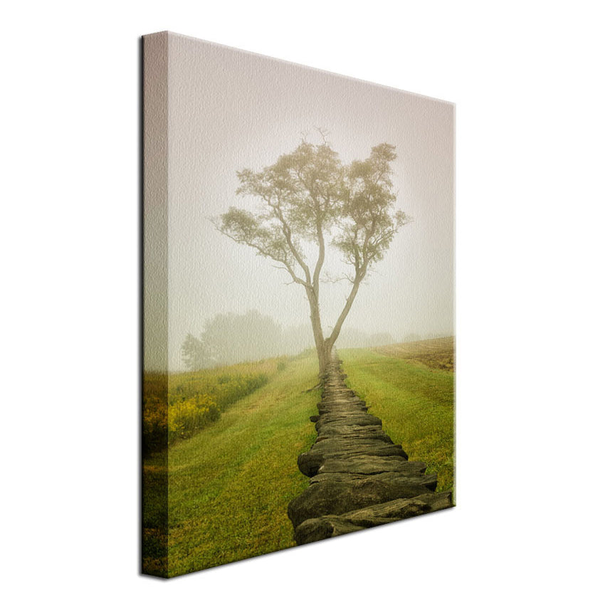 Calming Morning Rural Landscape Photo Fine Art Canvas Wall Art Prints - PIPAFINEART