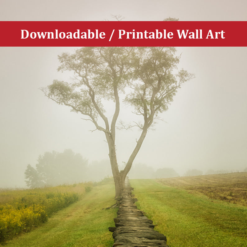 Calming Morning Landscape Photo DIY Wall Decor Instant Download Print - Printable - PIPAFINEART