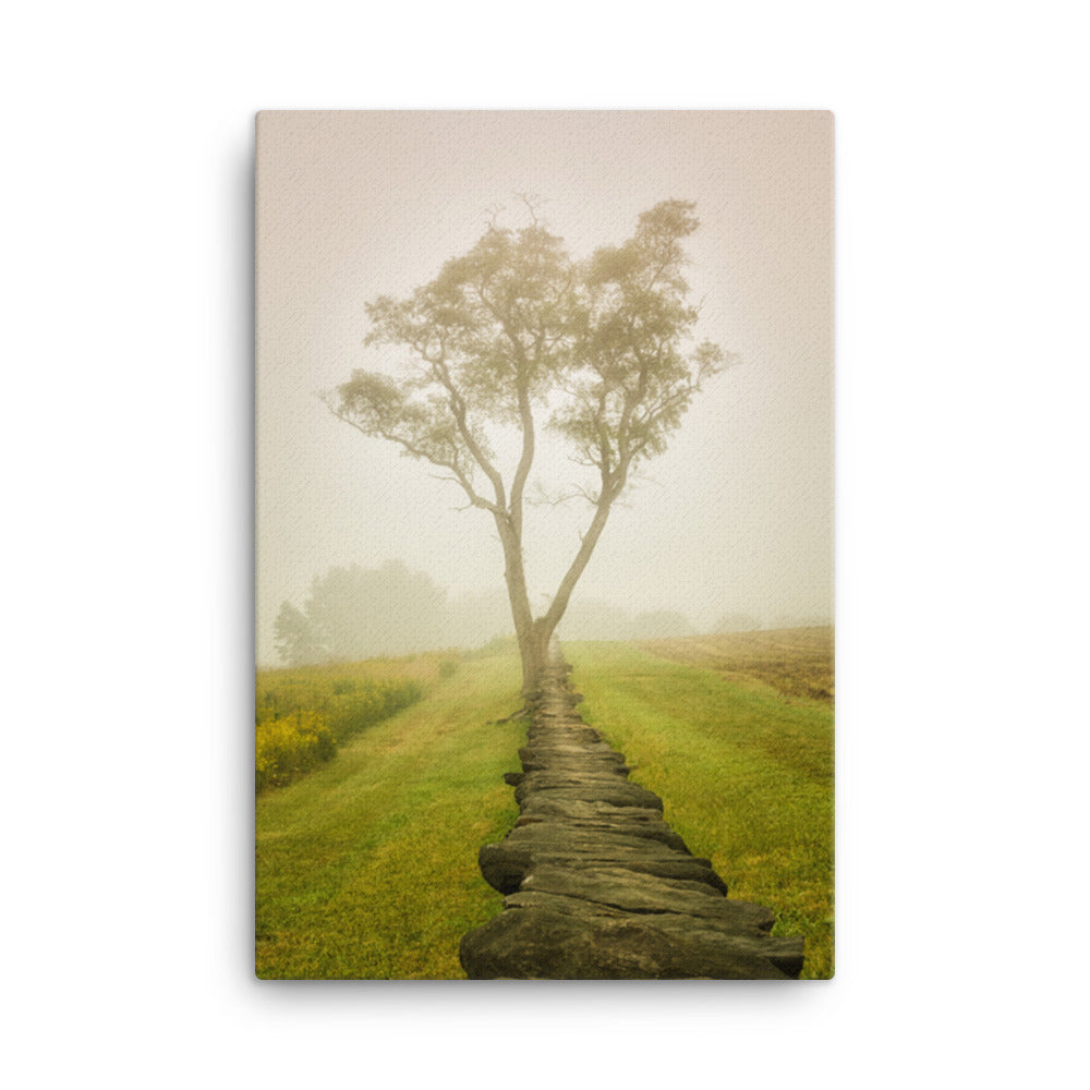 Calming Morning Rural Landscape Photo Canvas Wall Art Prints