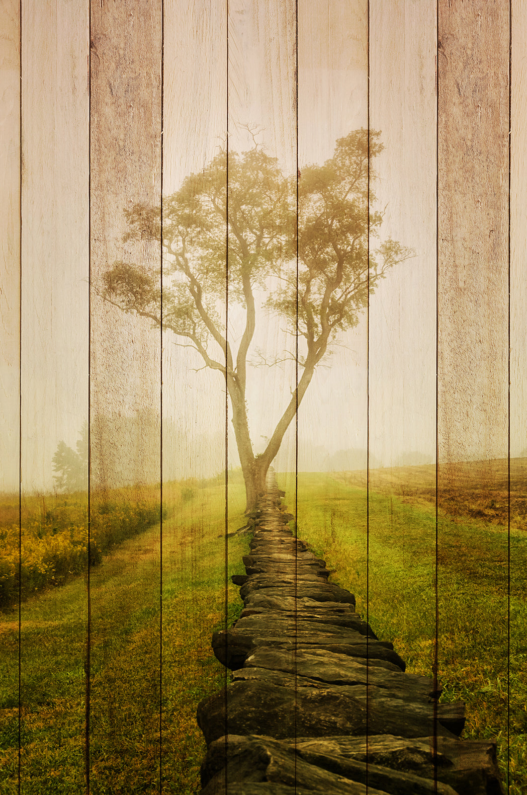 Faux Wood Calming Morning Landscape Photo Fine Art Canvas Wall Art Prints - PIPAFINEART