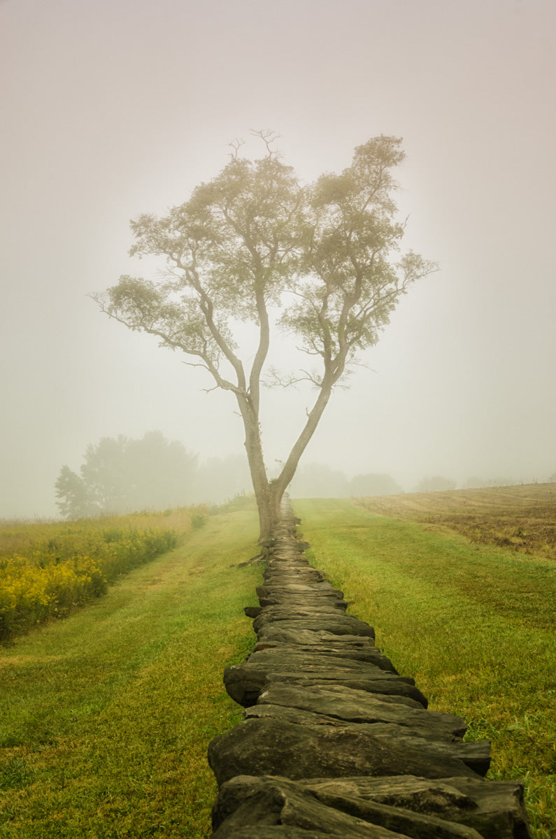 Calming Morning Rural Landscape Photo Fine Art Canvas Wall Art Prints - PIPAFINEART
