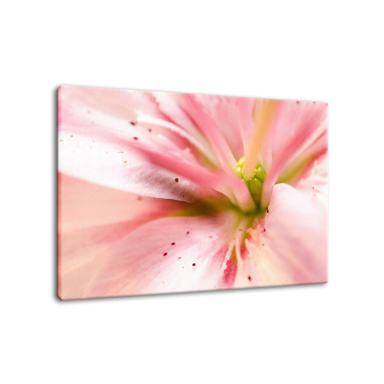 Center of the Stargazer Lily Nature / Floral Photo Fine Art Canvas Wall Art Prints - PIPAFINEART