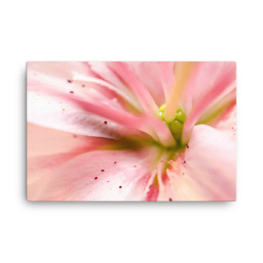 Center of the Stargazer Lily Floral Botanical Nature Photograph Canvas Wall Art Prints