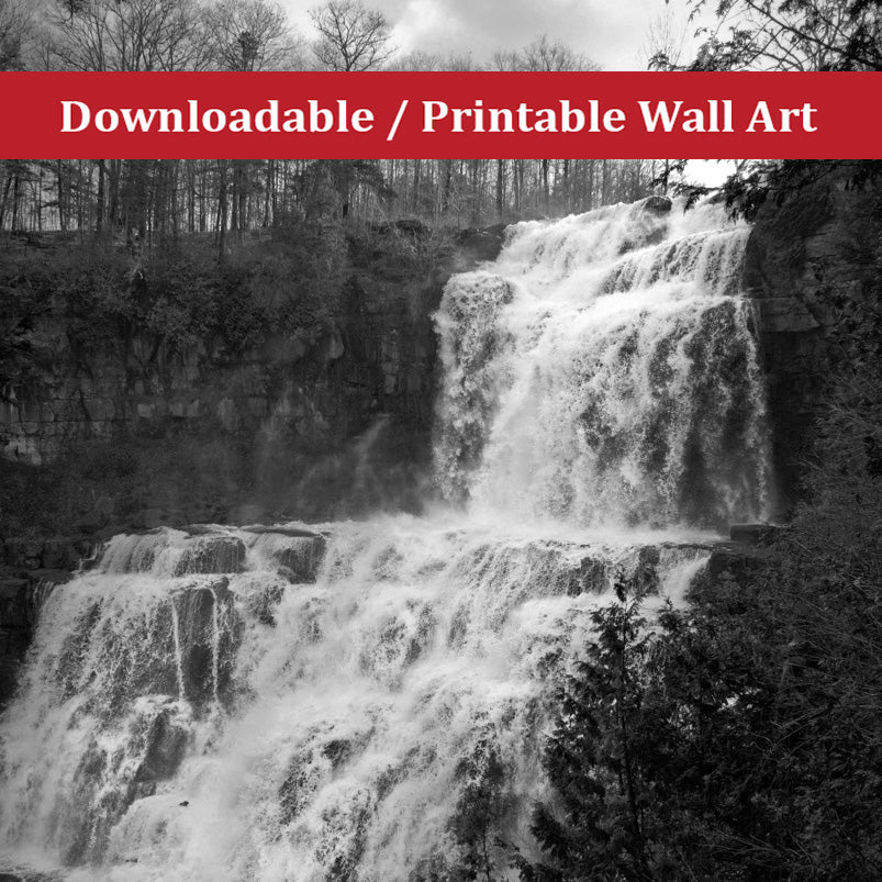 Chittenango Falls Landscape Photo DIY Wall Decor Instant Download Print - Printable - PIPAFINEART