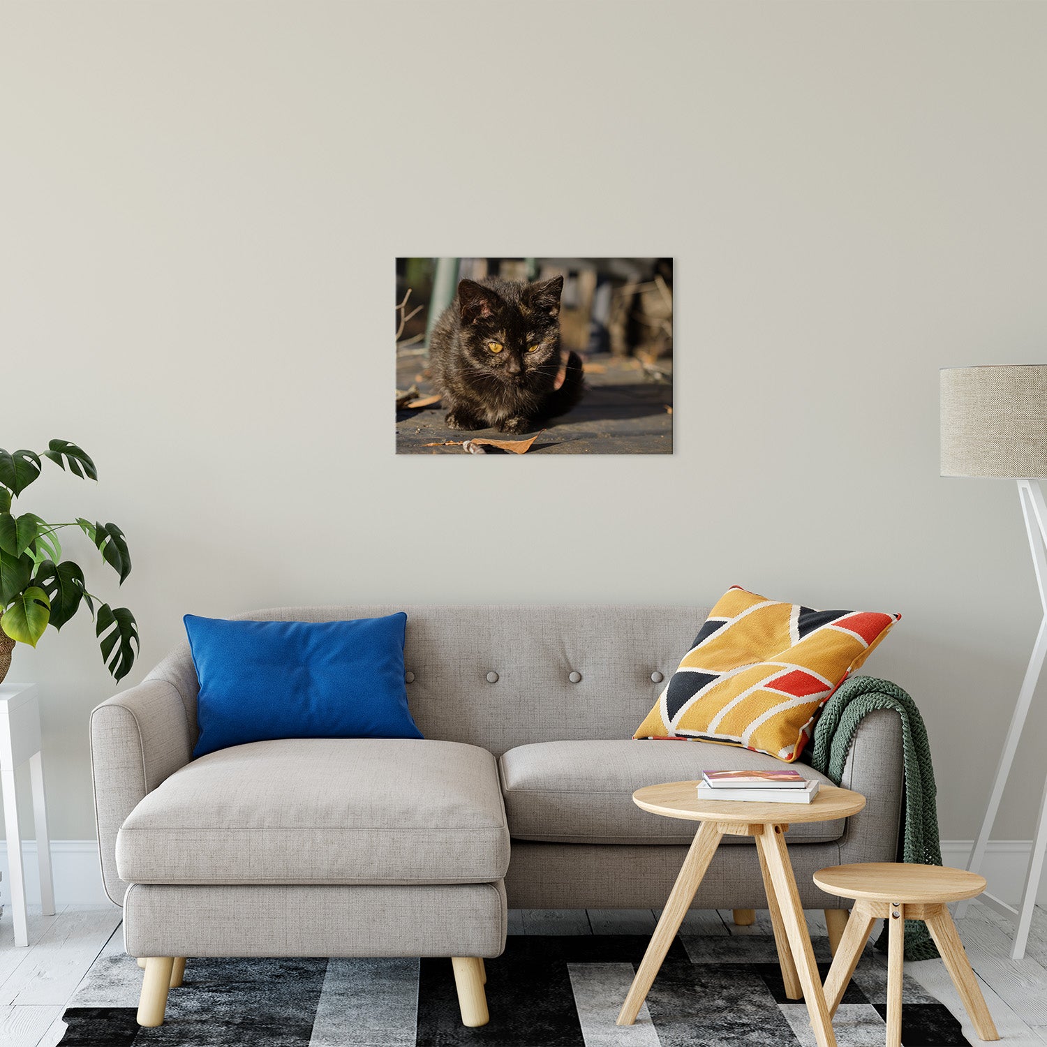 Chocolate the Stray Kitten Animal / Wildlife - Cat Photograph Fine Art Canvas & Unframed Wall Art Prints 20" x 30" / Canvas Fine Art - PIPAFINEART
