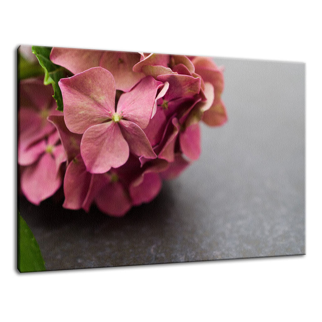 Close-Up Hydrangea on Slate Nature / Floral Photo Fine Art Canvas Wall Art Prints - PIPAFINEART