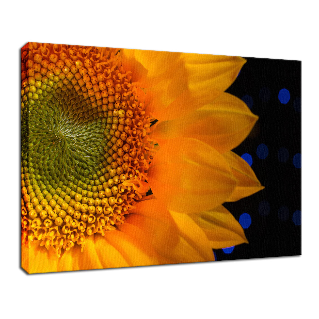 Close-up Sunflower Nature / Floral Photo Fine Art Canvas Wall Art Prints - PIPAFINEART