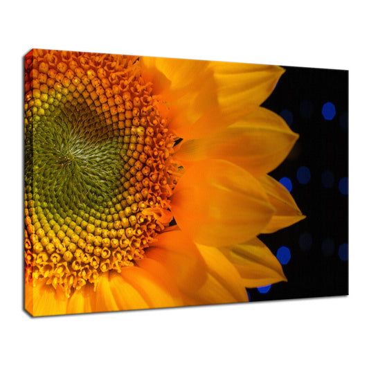 Close-up Sunflower Nature / Floral Photo Fine Art Canvas Wall Art Prints  - PIPAFINEART